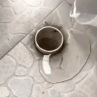 Encabezado